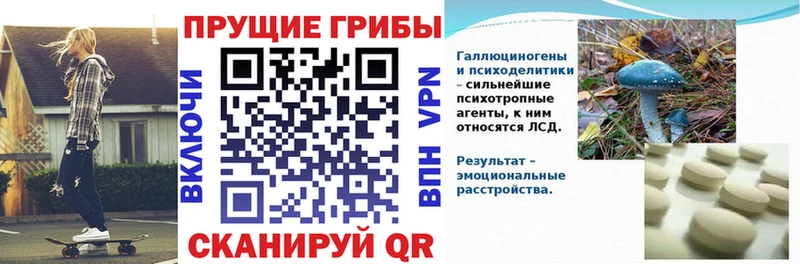 Галлюциногенные грибы MAGIC MUSHROOMS  Купить  Нелидово 